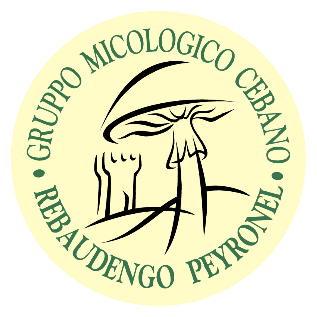 Gruppo Micologico Cebano