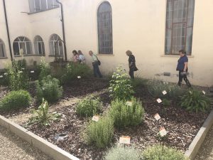 chiostro delle erbe 2023 06 03