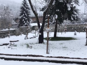 giardino botanico 2024 03 27 a