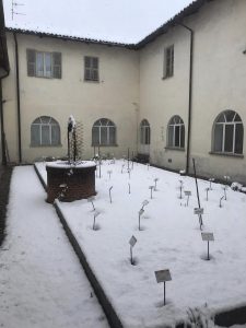 giardino botanico 2024 03 27 b