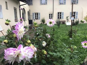 giardino botanico 2024 10 26 a