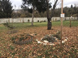 giardino botanico Ceva d 2023 11 27